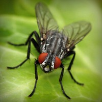 /album/rolivgistde/photolia-a01-jpg/