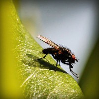 /album/rolivgistde/photolia-a04-jpg/