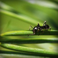 /album/rolivgistde/photolia-a05-jpg/