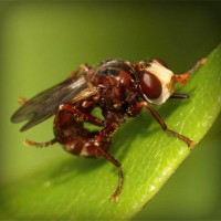 /album/rolivgistde/photolia-a06-jpg/