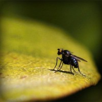 /album/rolivgistde/photolia-a07-jpg/